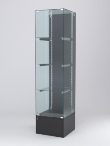 Витрина "АСТЕРИЯ" №10 (с дверкой, задняя стенка - ДСП), Черный