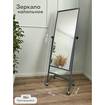 L-154-53 Зеркало напольное (серый)