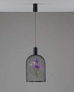 Светильник подвесной светодиодный Moderli V11875-PL Ophelia