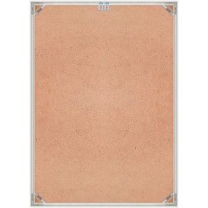 Рамка Нельсон 02, А2, серебро матовое анодир.