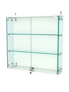 Витрина "АТРИУМ" настенная №1-1, Белый