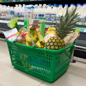 Корзина пластиковая METAL, 30 литров, цвет зеленый