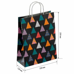 Крафт пакет бумажный Геометрия 22х12х25см с кручеными ручками, плотность 100 гр/м2, б, 112290