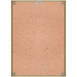 Рамка Нельсон 02, А1, золото матовое окраш. 1923