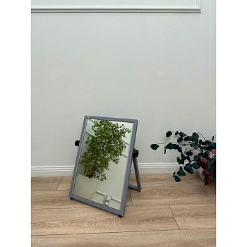 Зеркало напольное обувное (серое)